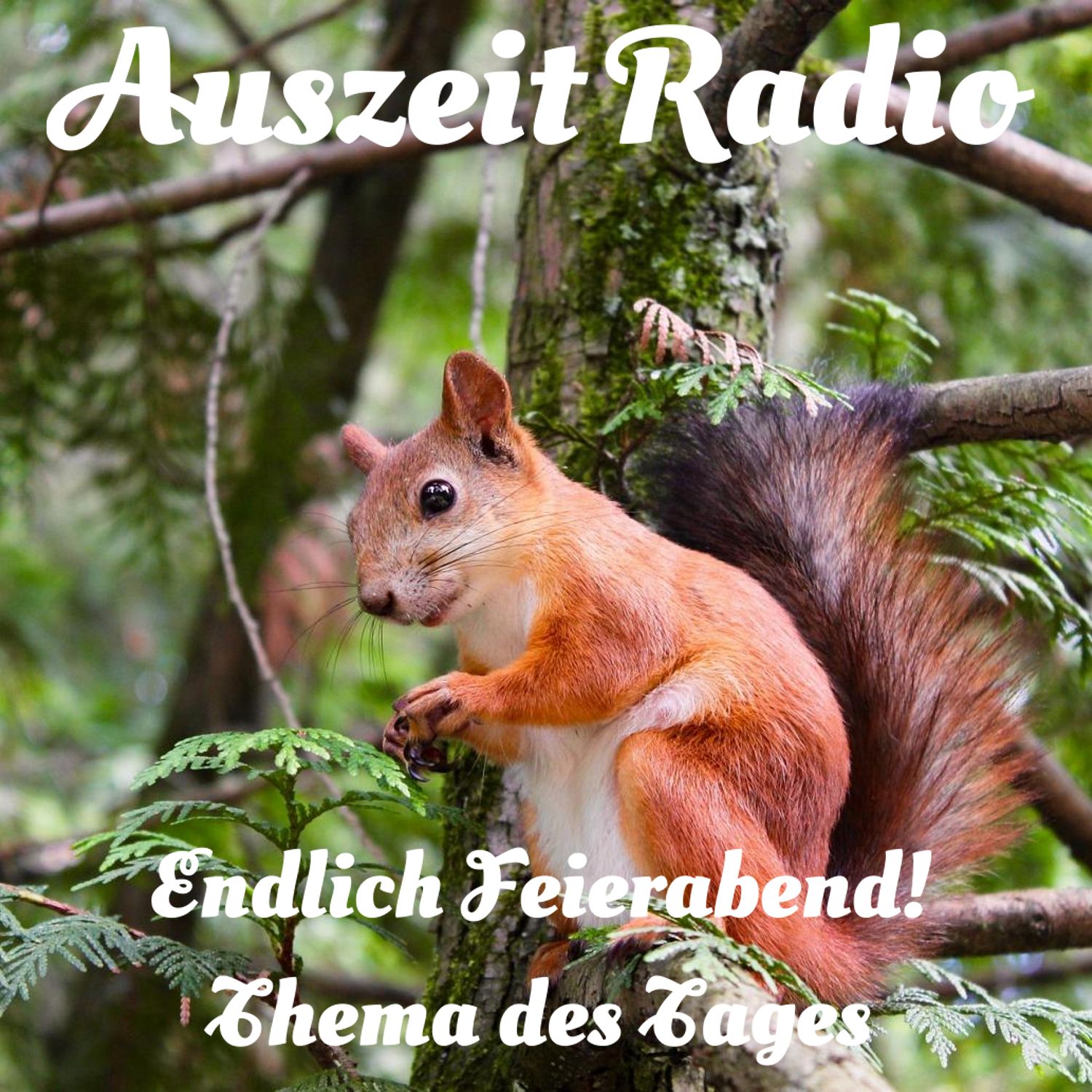 Auszeit Radio - Themen der Woche