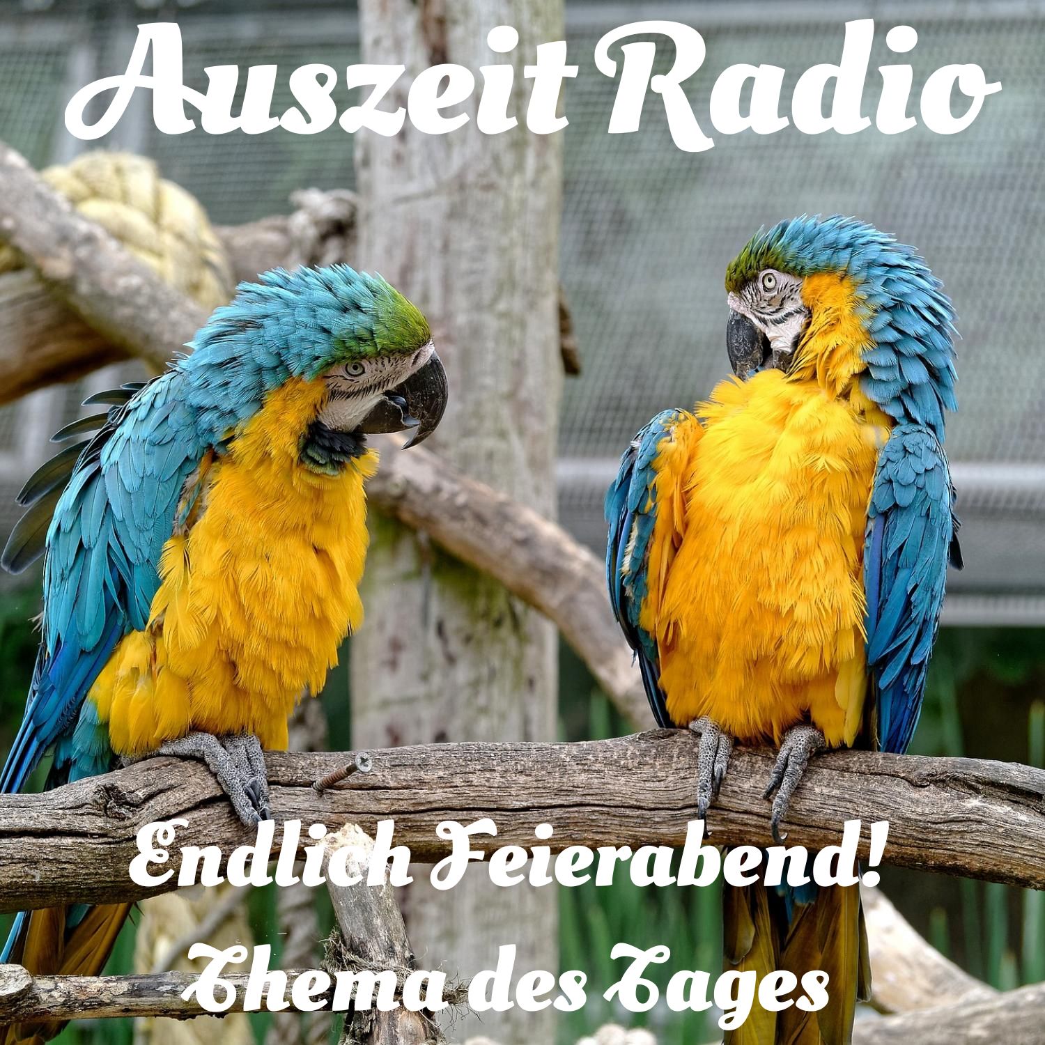 Auszeit Radio - Themen der Woche